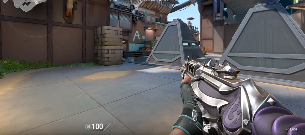 The Vandal in VALORANT