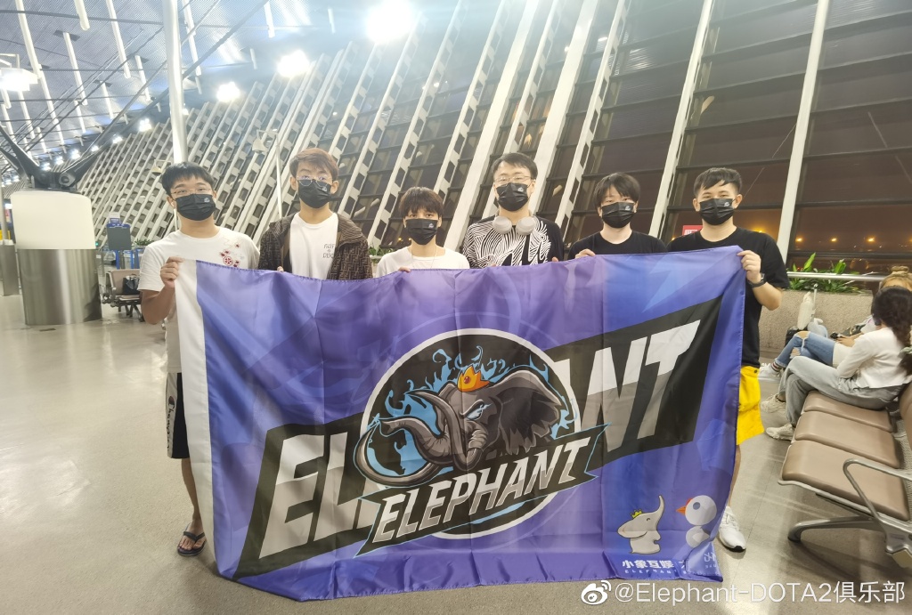 Elephant on their way to Romania. TI10 China team