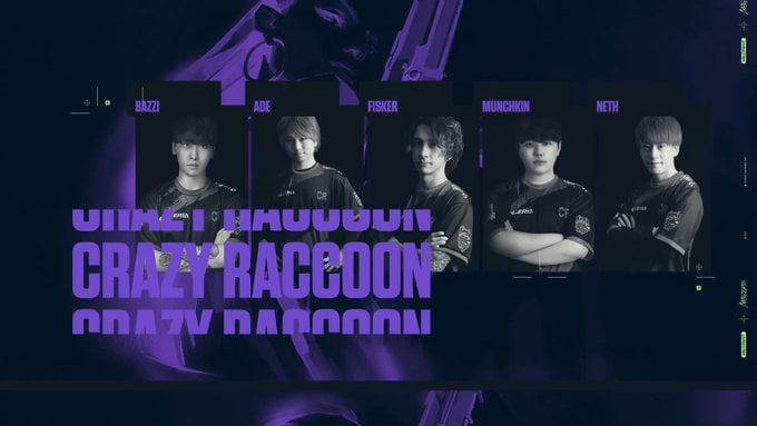 crazy raccoon - masters berlin