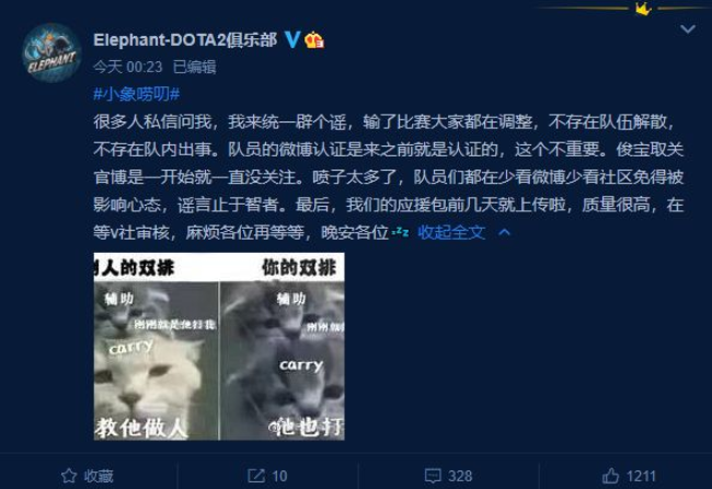 Elephant clarifies that the team is not disbanding before TI10 Qualifier.