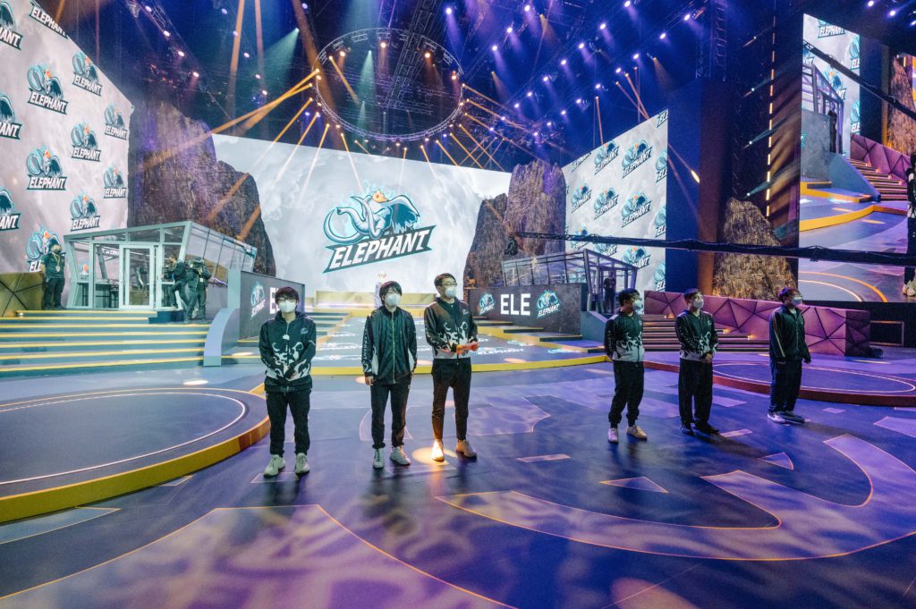 Elephant finished 13-16th at the Dota 2 International event in Romania.