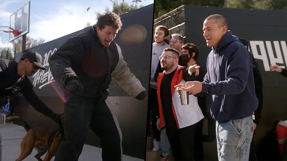 100 Thieves content creators mauled by Pablo the dog as Channing Tatum watches on