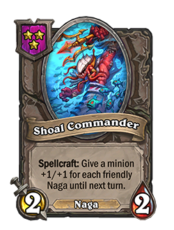 Shoal Commander

