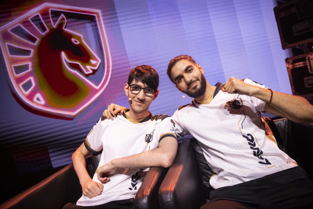 Team Liquid brothers ScreaM and Nivera