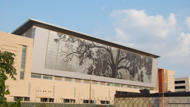 Raleigh venue confirmed for Call of Duty League Major 1