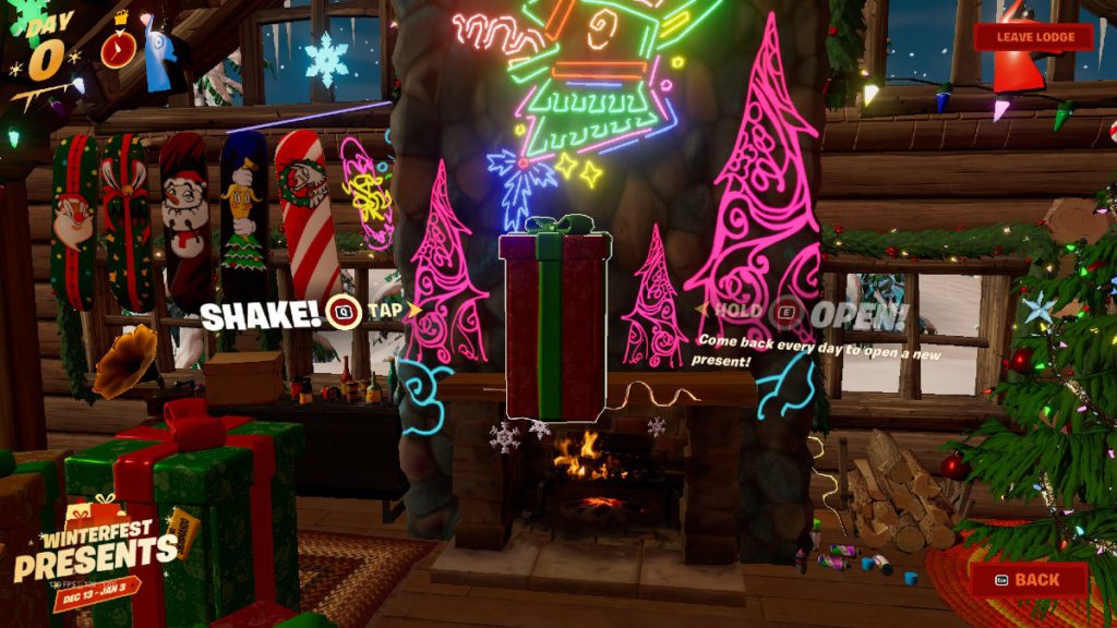 Winterfest Present 11