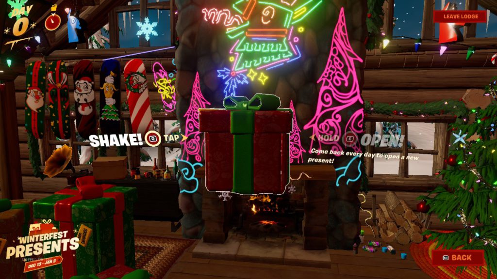 Winterfest Present 5