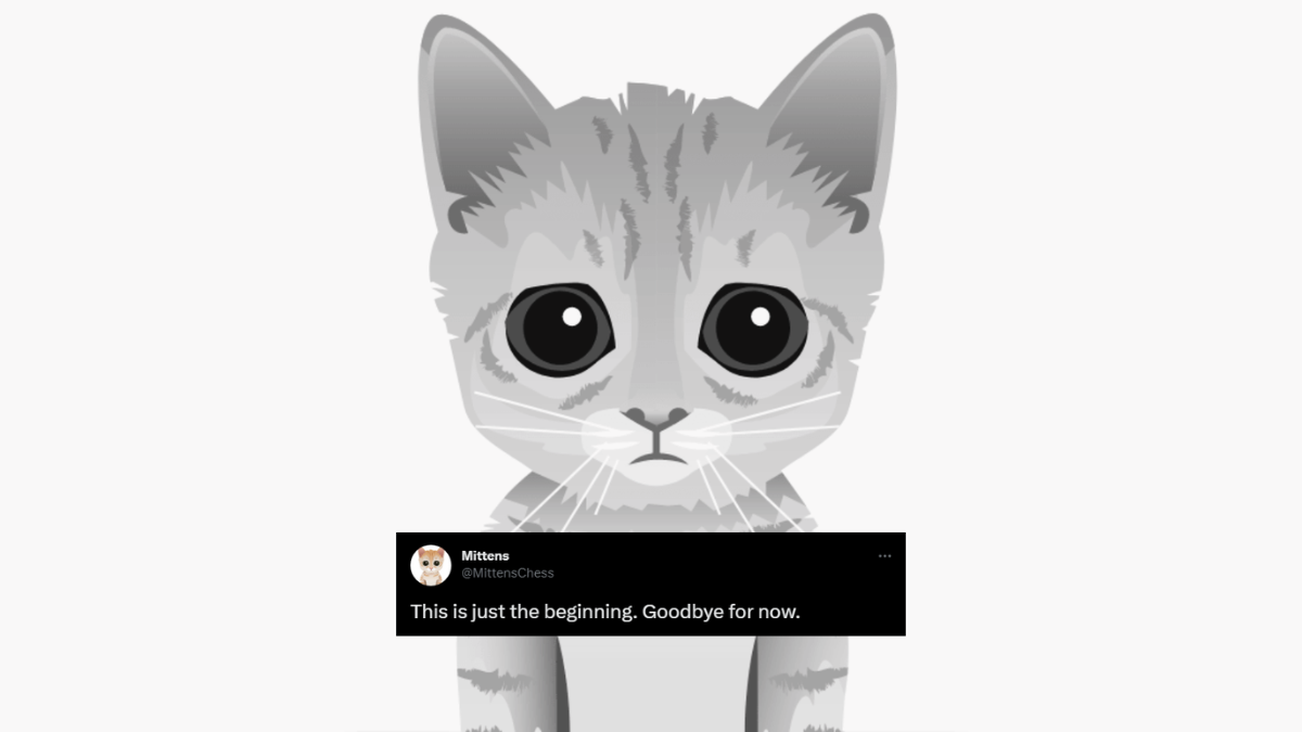 Goodbye Mittens. Chess.com removes the viral cat bot from its site