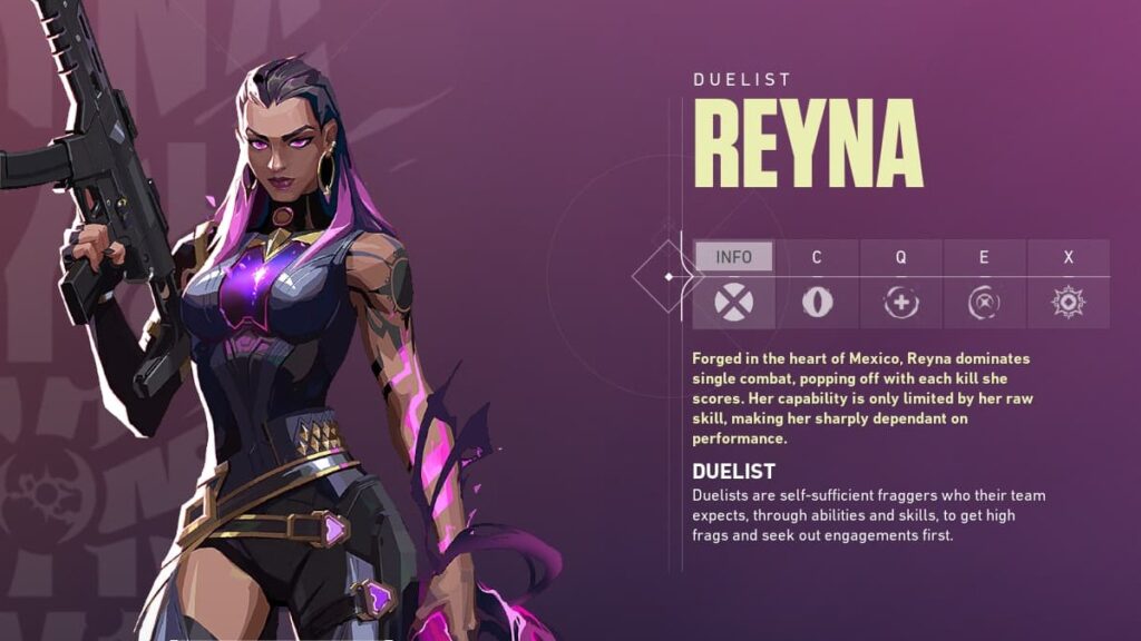 An overview of Reyna.