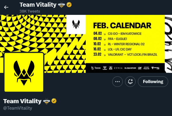 Team Vitality's hint about the French Bees on Twitter