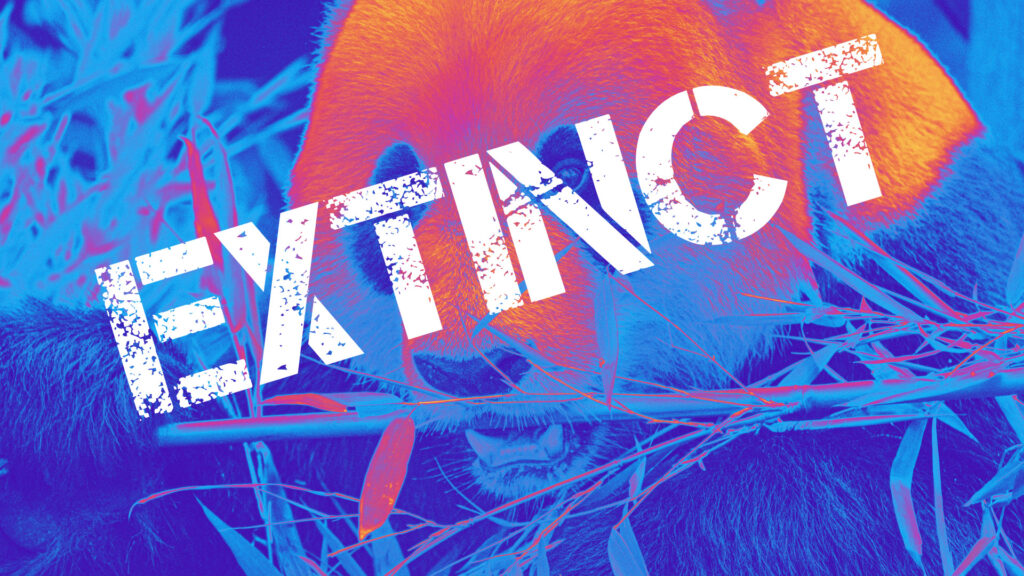 Chengdu Hunters disband? OWL team omitted from upcoming season schedule