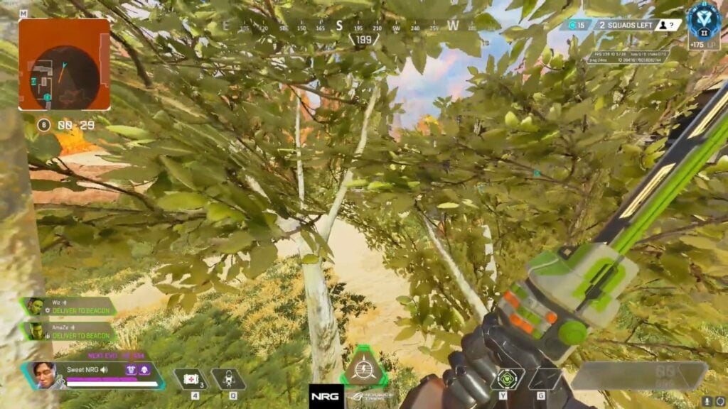 Sitting in Trees was a strong tactic for Sweetdreams