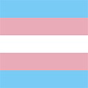 Transgender Flag (Image via Blizzard Entertainment)