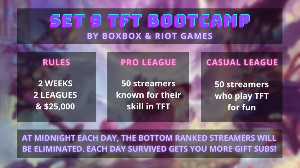 Boxbox Bootcamp information 