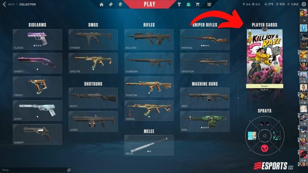How To Hide Level in VALORANT