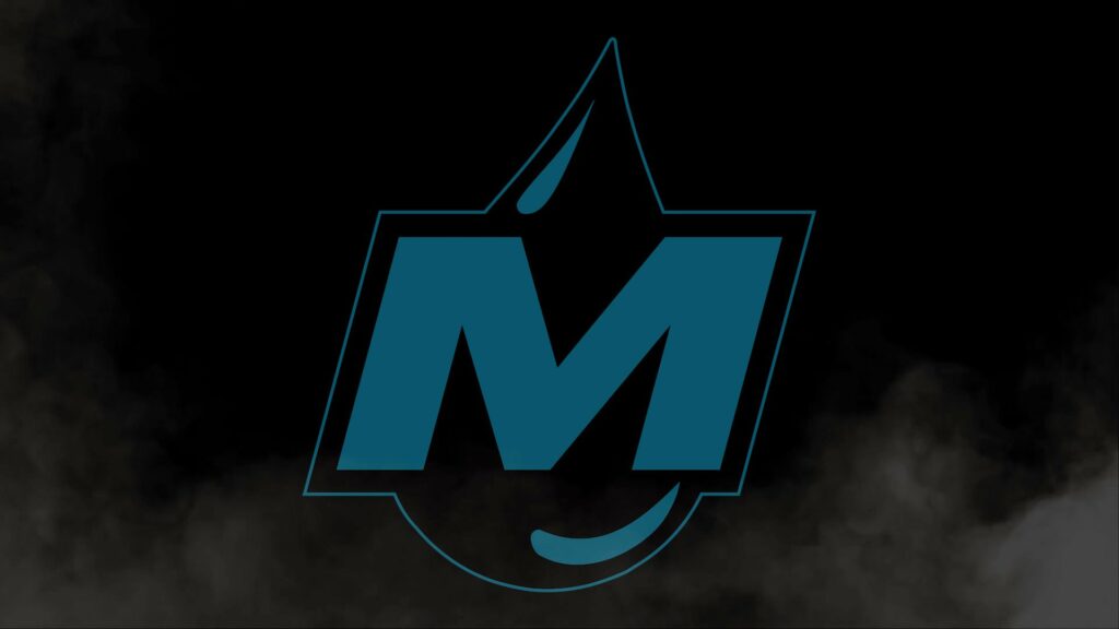 MoistCr1TiKaL said that all his Twitch streaming contract money was invested in Moist Esports (Image via Moist Esports)