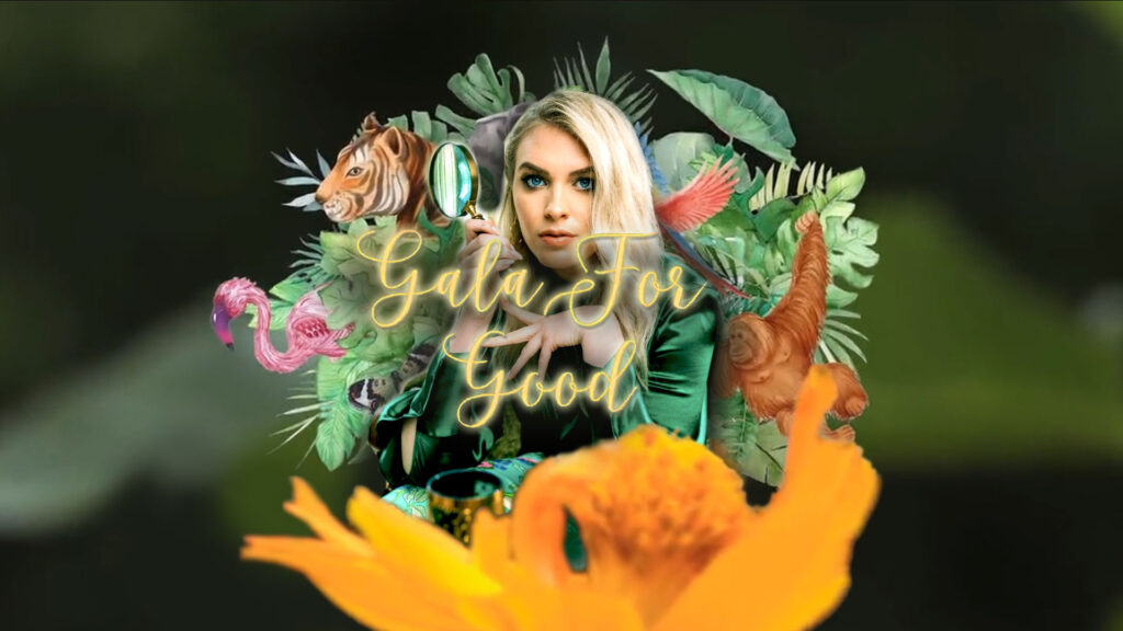 QTCinderella’s The Gala for Good raises funds for rainforest preservation organizations