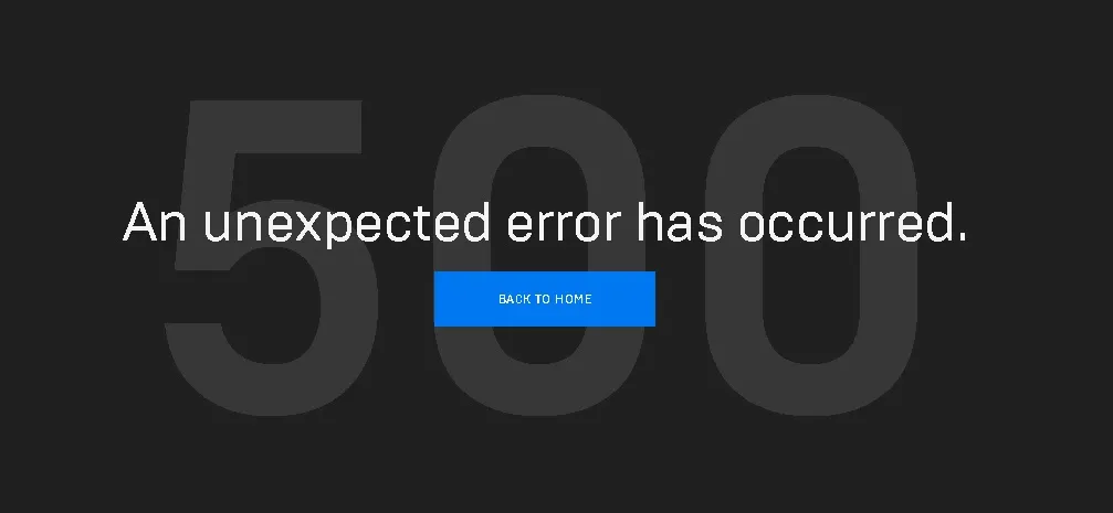 Epic Games Internal Server Error 500 - Football Manager 24