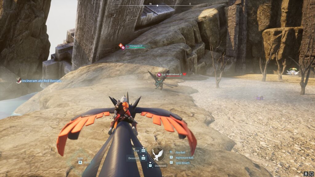 A player flies near a Shadowbeak.