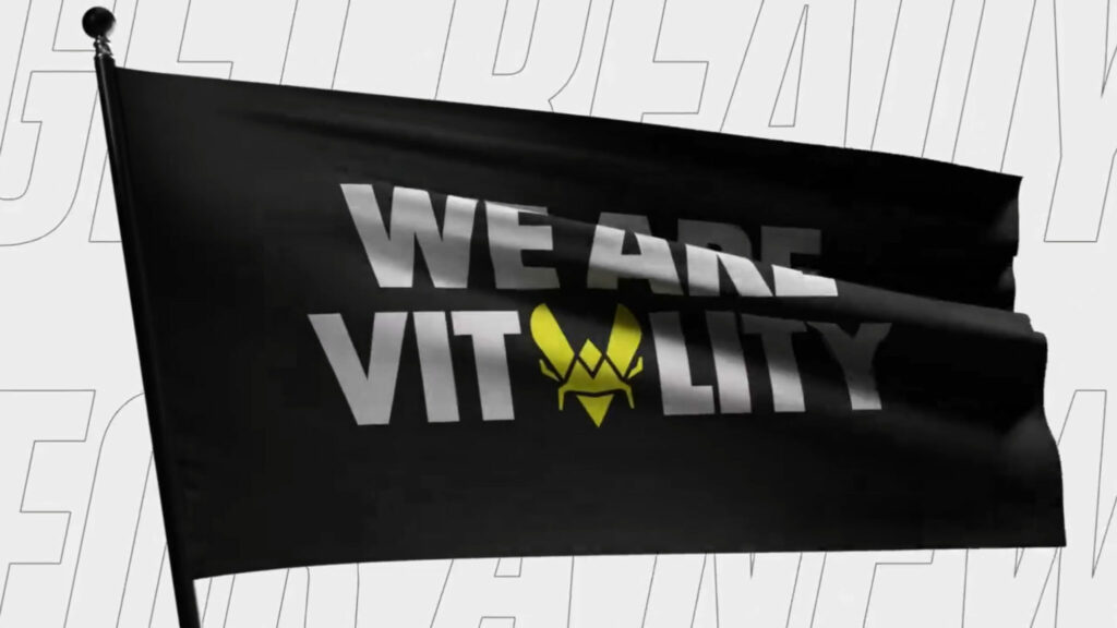 Team Vitality flag