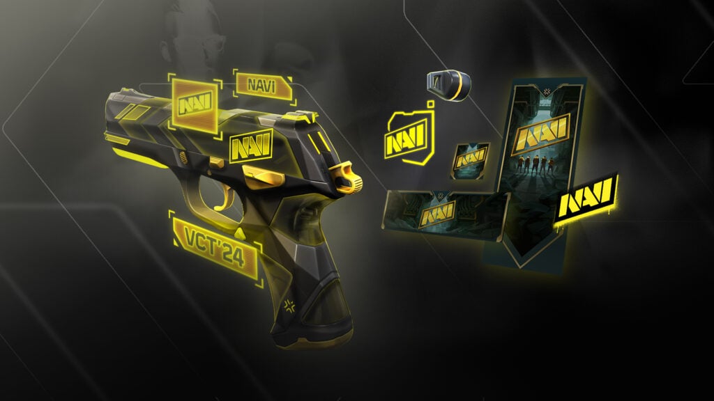 The NAVI VCT team bundle.