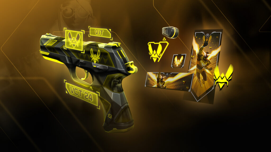 The Team Vitality VCT team bundle.