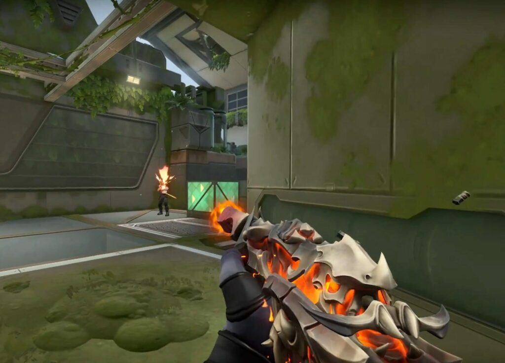 Primordium Bundle VALORANT