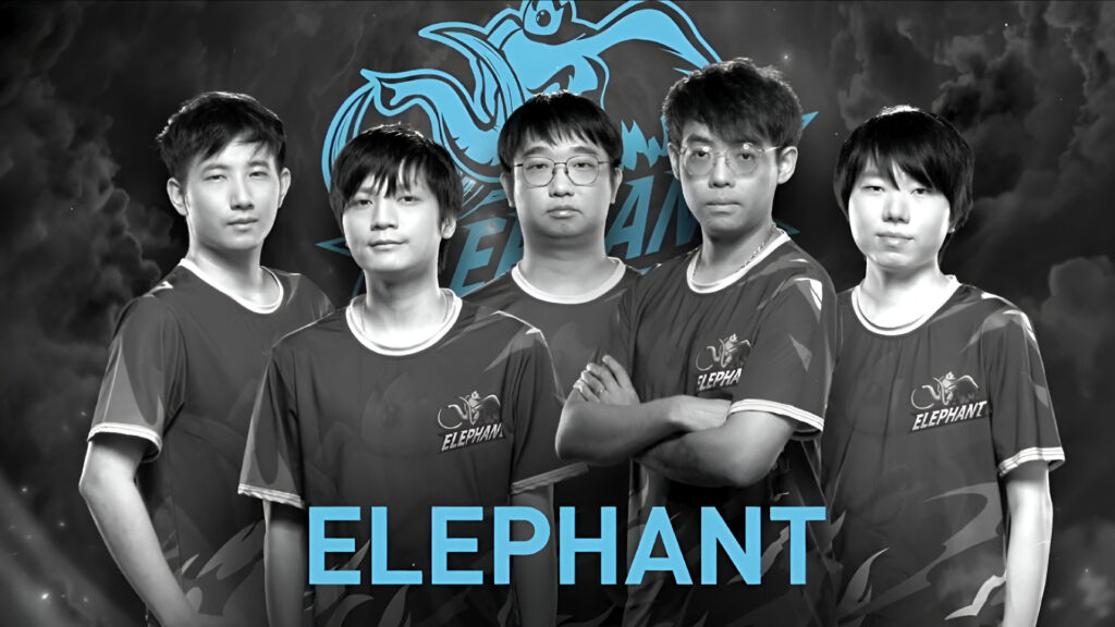 Somnus is back? Yang announced the Elephant reunion on stream
