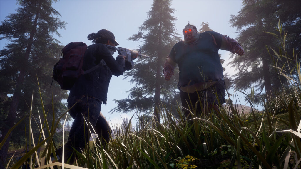 Is State of Decay 2 crossplay?