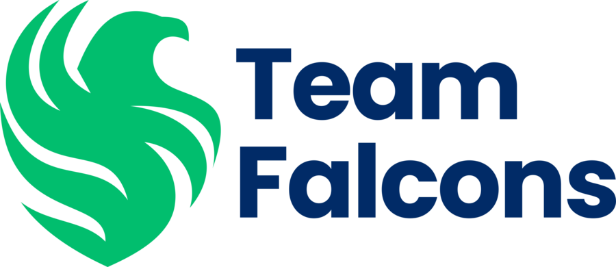 Team Falcons (via Liquipedia)