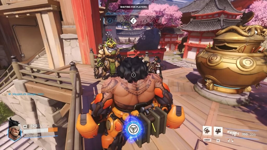 Overwatch 2 streamer mode 2024 screenshot 