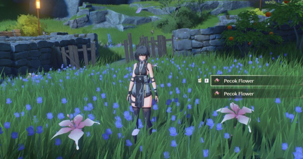 Pecok Flowers in Wuthering Waves (image via esports.gg)