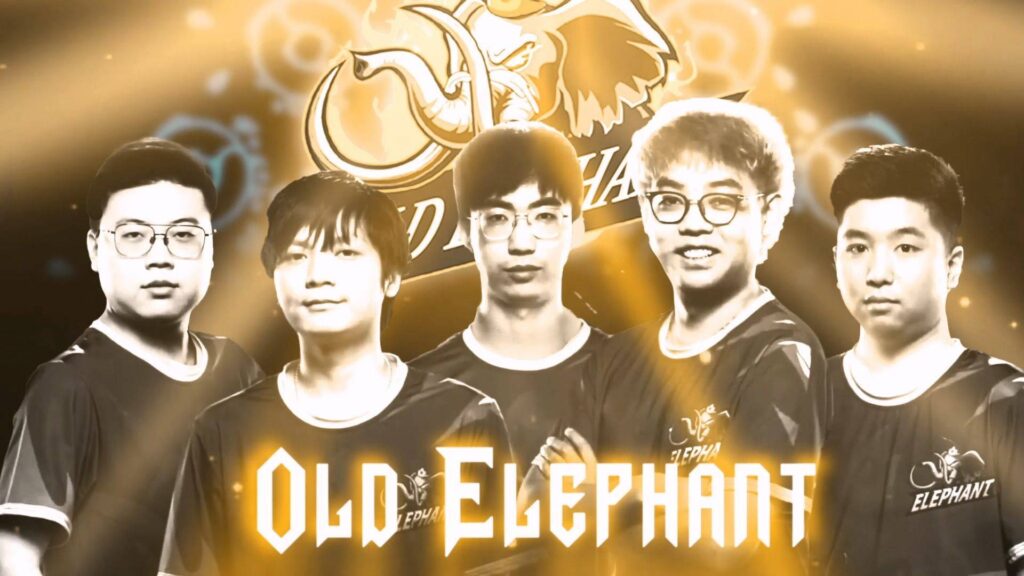 Who are Team Turtle? Somnus and Chalice reunite for a TI2024 comeback