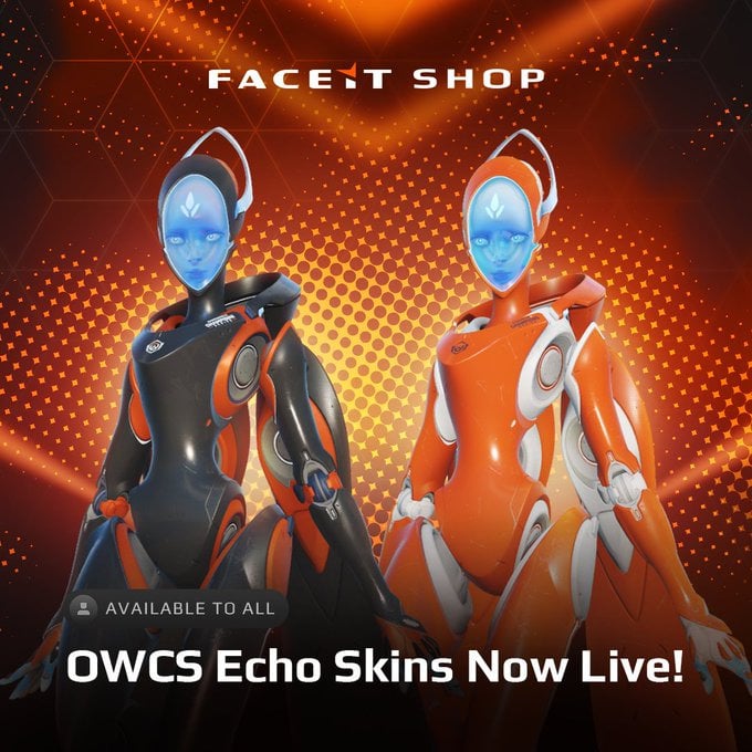 Overwatch 2 OWCS Echo Home and Away skins