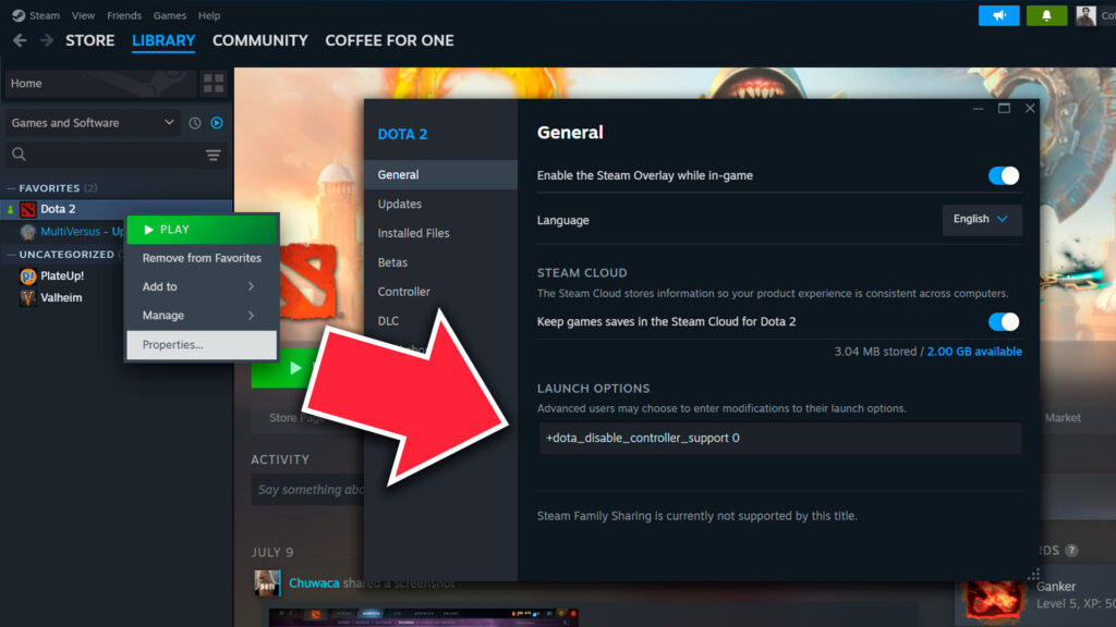 Dota 2 properties section, showing the "launch options"