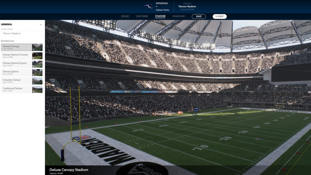 Madden 25 stadium 
