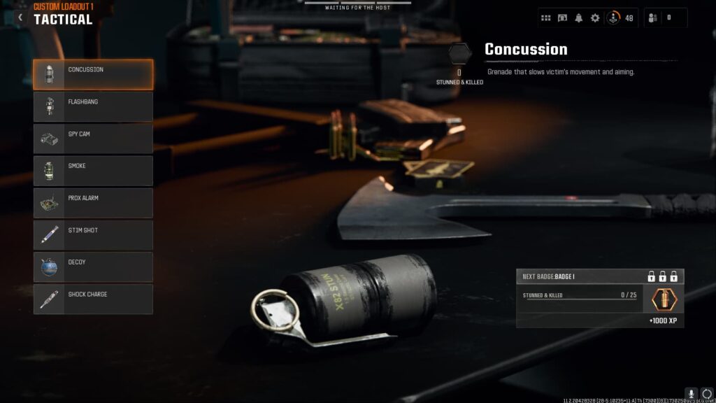 Concussion grenades, to use with the best melee loadout in Black ops 6.