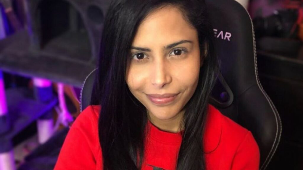 Twitch Raids Partner