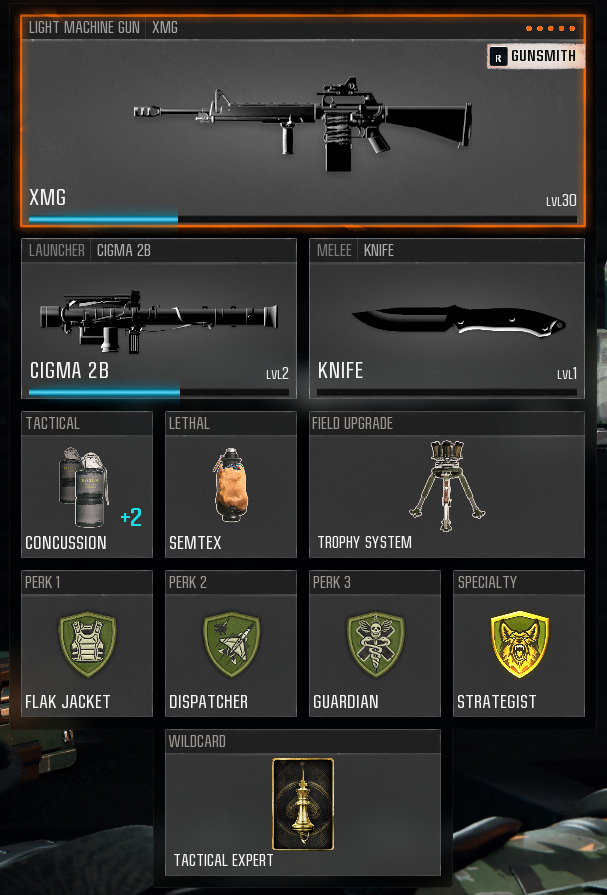 A loadout for the XMG in Black Ops 6.