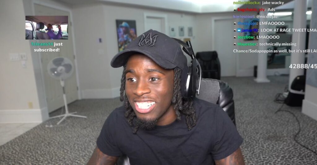 Twitch Raids Partner