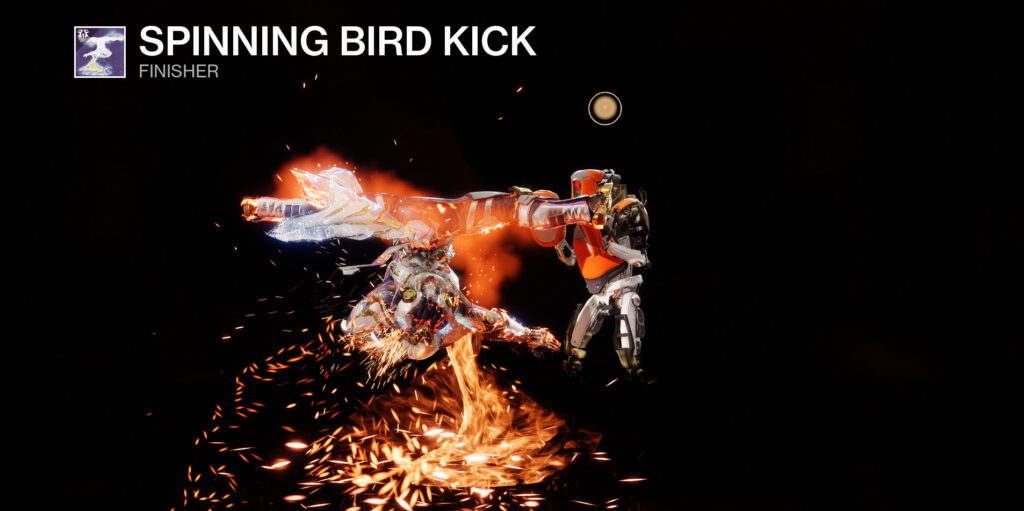 A screenshot of a Street Fighter finishing move in Destiny 2.