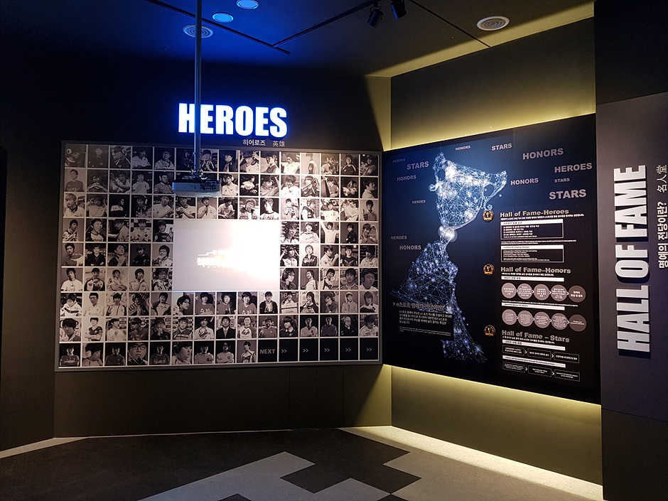 The Heroes listed in the Esports Hall of Fame.