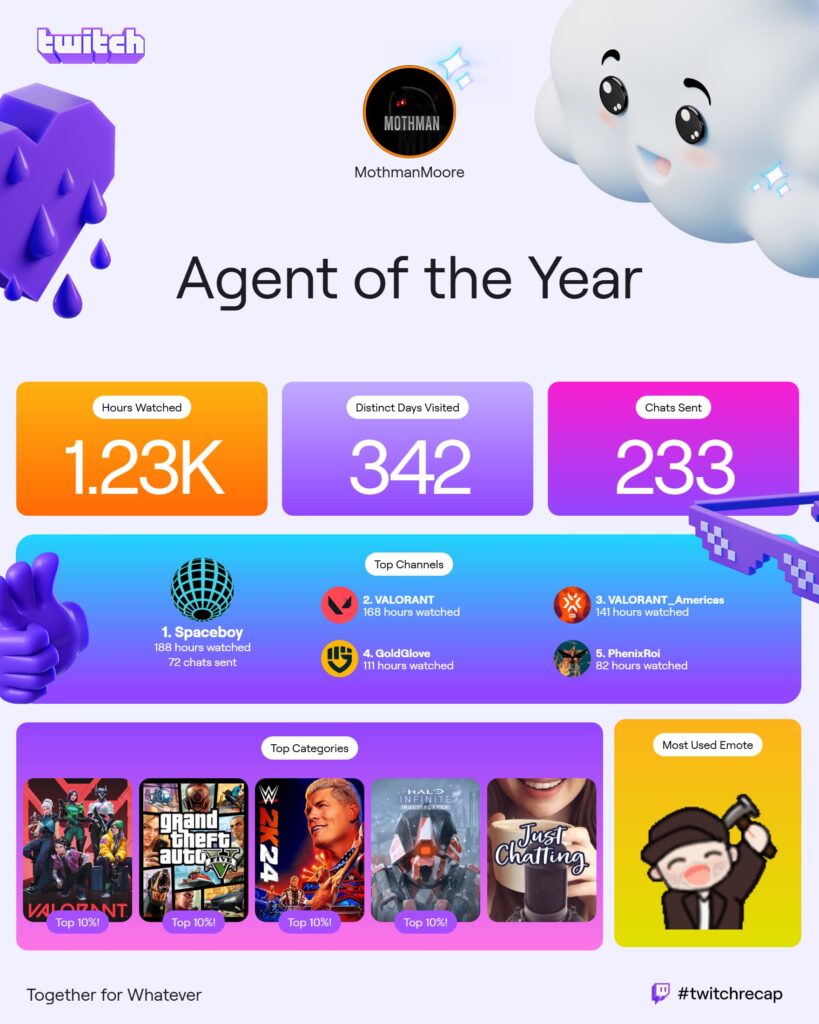 A viewer's Twitch Recap 2024.