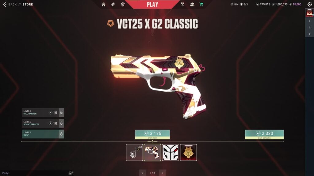 G2 Esports 2025 VCT team capsule