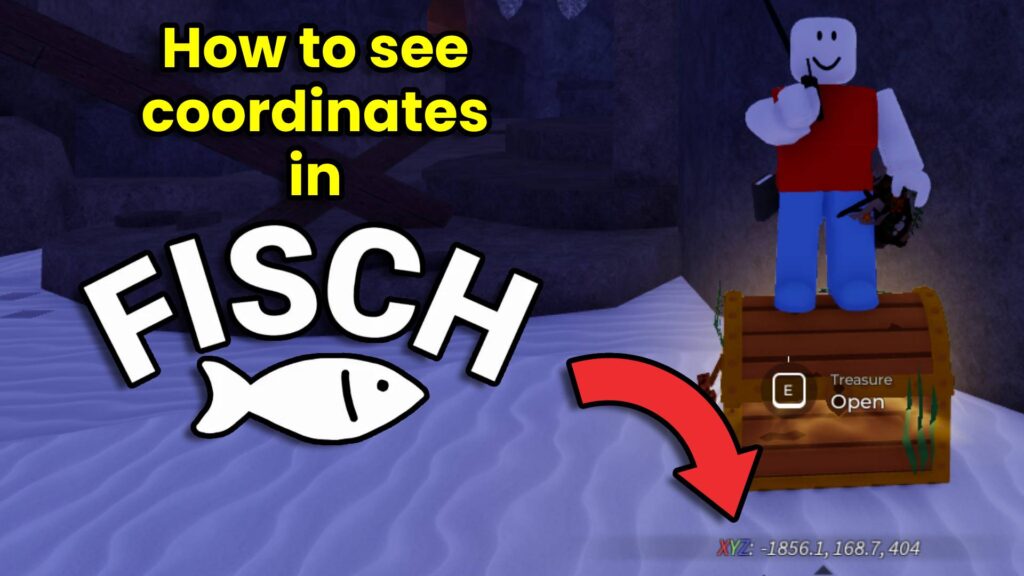 How to see coordinates in Fisch