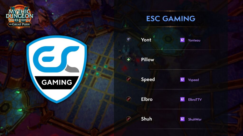 ESC Gaming players