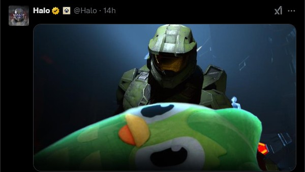 Halo Duolingo