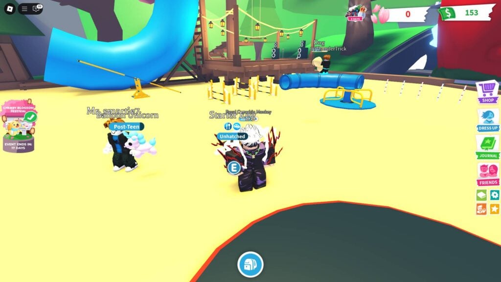 Playground in Adopt Me!