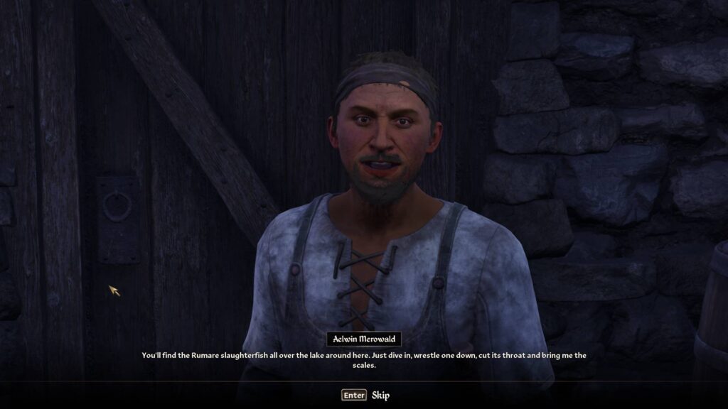 Aelwin talking about the Go Fish quest