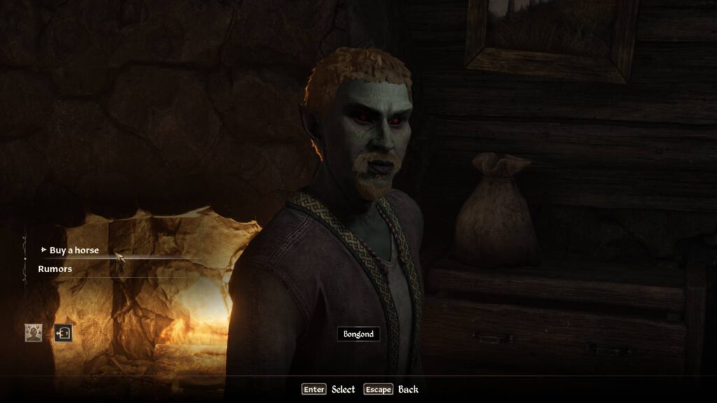 Bondond, seller of Chestnut horses at the North Country Stables.